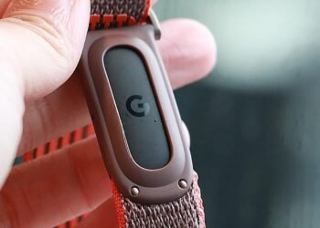 Google’s Fitbit Edge Leaks Out With A Display screen And Pixel 11 Colours