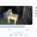 Google’s AI Detection Web site Is Now Obtainable