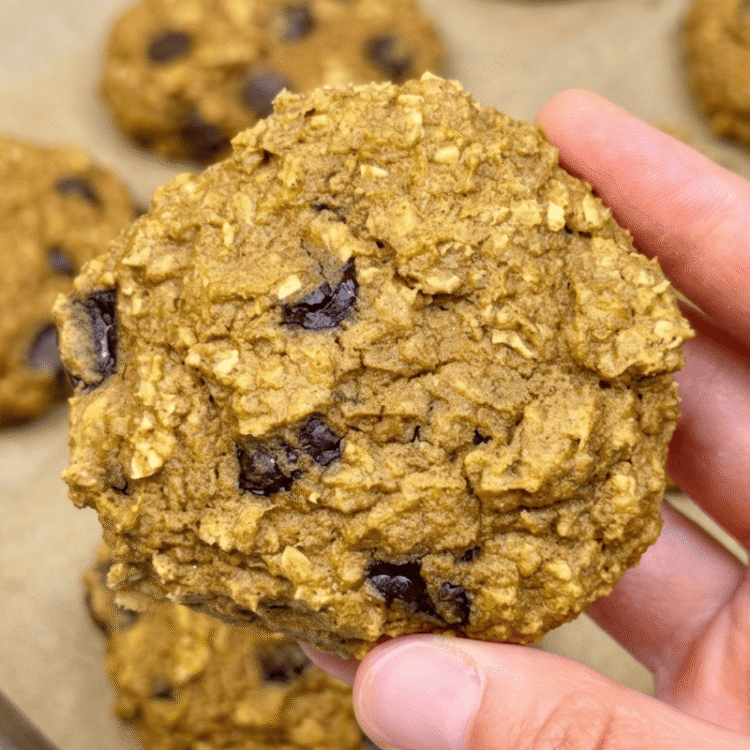 Pumpkin Chocolate Chip Protein Cookies [no added sugar + gluten-free] • Wholesome Helper