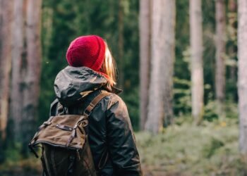 Past the crimson hat: mind networks in premenstrual dysphoric dysfunction