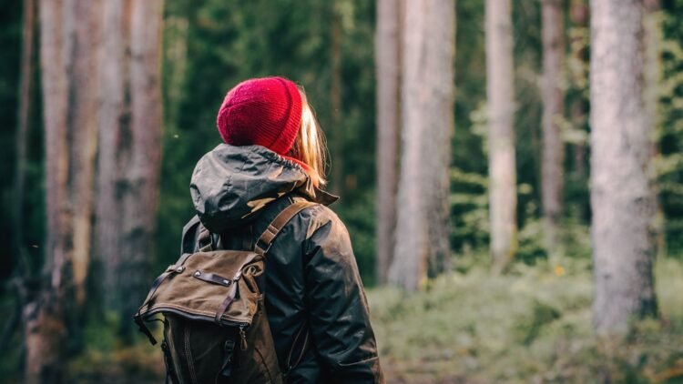 Past the crimson hat: mind networks in premenstrual dysphoric dysfunction
